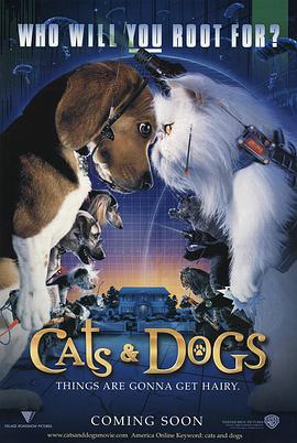 久久99操