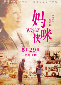 中文精品久久久久国产不卡
