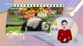 欢乐颂4电视剧46集免费观看完整版高清